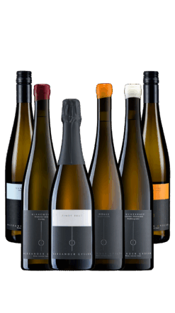 6er Festtagsweinkiste