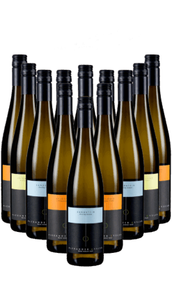 12er Jungweinkiste 2026 - frei Haus Deutschland