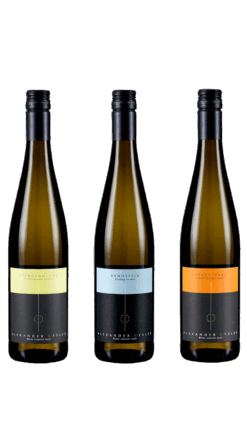 3er Jungweinkiste 2026