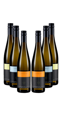 6er Jungweinkiste 2026